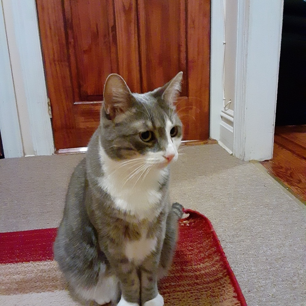 Meet your Posher, Sharon